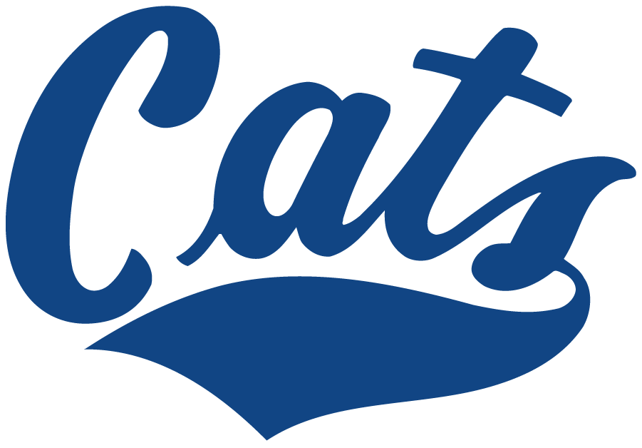 Montana State Bobcats 1982-1995 Wordmark Logo DIY iron on transfer (heat transfer)